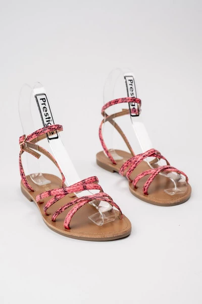 Damskie Sandały ZAYA PINK – Letni Komfort i Subtelna Dzikość